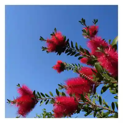 岐阜稲荷山本社(岐阜県)