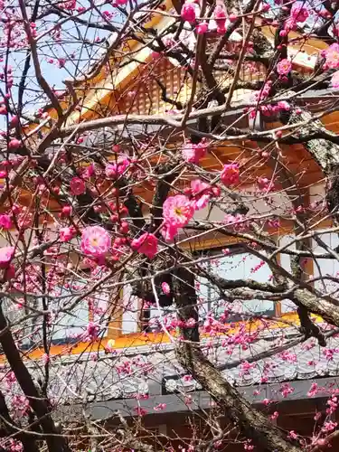 北野天満宮(京都府)