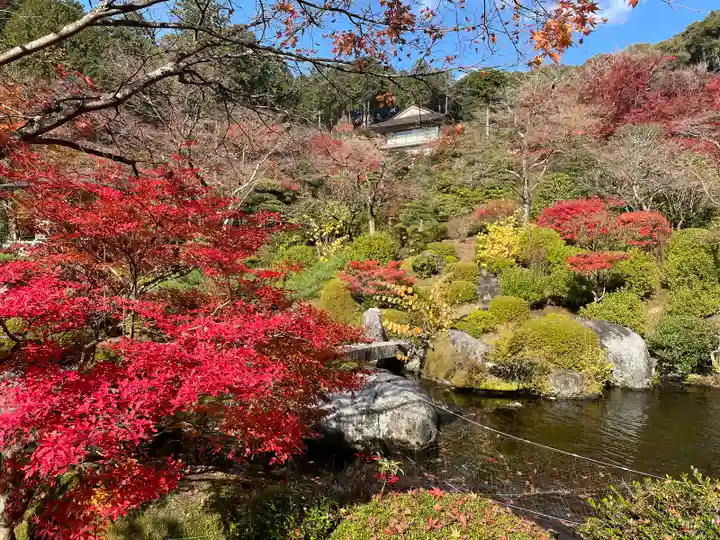 三室戸寺(京都府)