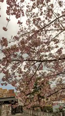 池上本門寺(東京都)