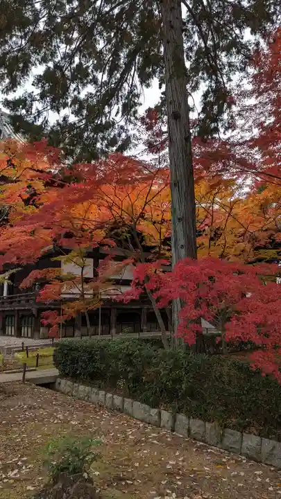 真正極楽寺(真如堂)(京都府)