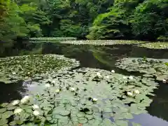 明治神宮(東京都)