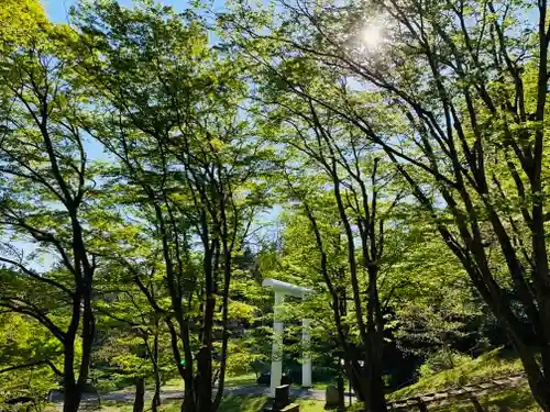 土津神社｜こどもと出世の神さまの建物その他