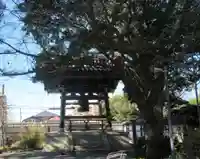 常立寺のその他建物