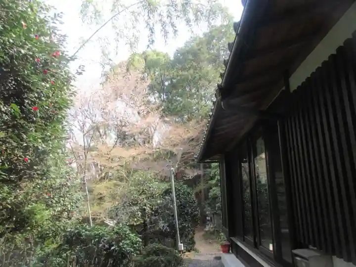 光照寺(京都府)