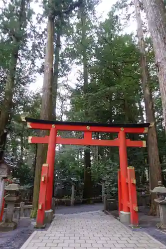 椿大神社の鳥居