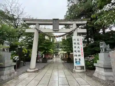 鎮守氷川神社(埼玉県)