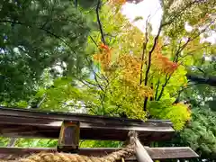 手長神社の鳥居