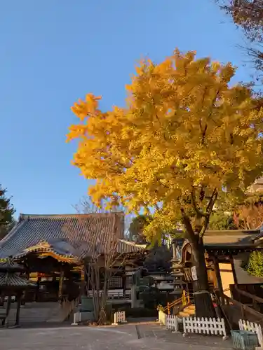 成願寺(東京都)