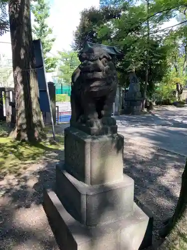 富岡八幡宮の狛犬