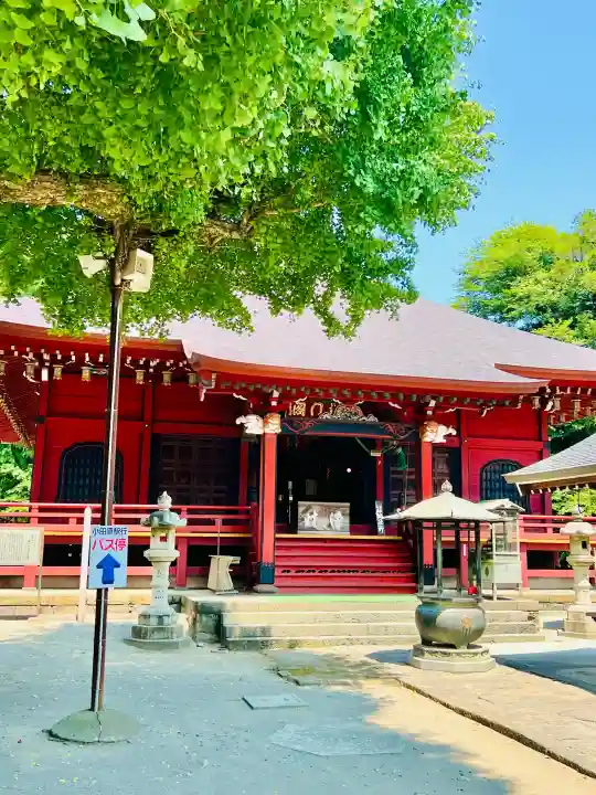 勝福寺の{uncategorized: "未分類", other: "その他", undefined: "問題あり", building: "その他建物", grave: "お墓", sacred_gate: "鳥居", guardian: "狛犬", statue: "像", buddha: "仏像", history: "歴史", nature: "自然", garden: "庭園", animal: "動物", pagoda: "塔", temizu: "手水舎", mountain_gate: "山門・神門", sanctuary: "本殿・本堂", subordinate: "末社・摂社", art: "芸術", scenery: "景色", jizo: "地蔵", ema: "絵馬", goshuin: "御朱印", omikuji: "おみくじ", items: "授与品その他", amulet: "お守り", goshuincho: "御朱印帳", eats: "食事", festival: "お祭り", votive_dance: "神楽", shichigosan: "七五三参", wedding: "結婚式", experience: "体験その他", initially: "初詣", around: "周辺", anti_infection: "感染症対策"}