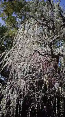 城南宮(京都府)