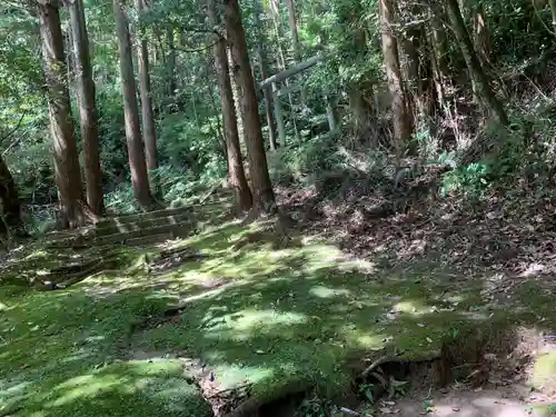 琴平神社の自然