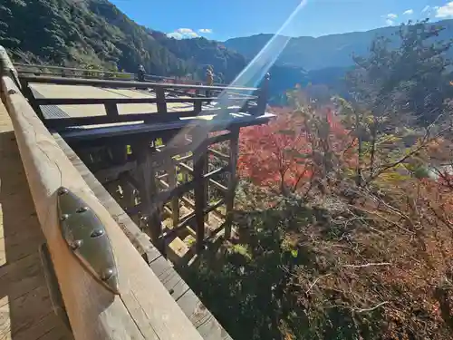 長谷寺(奈良県)