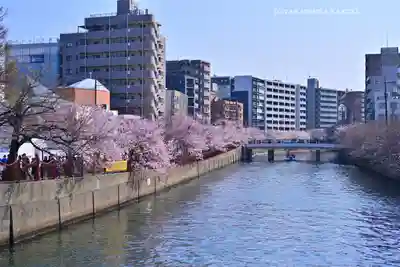 子神社(神奈川県)
