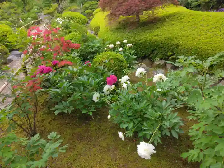 長壽寺(長寿寺)(神奈川県)