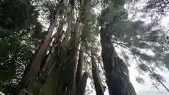 萩日吉神社の自然