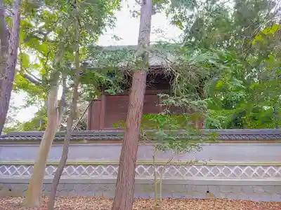天満神社の本殿・本堂