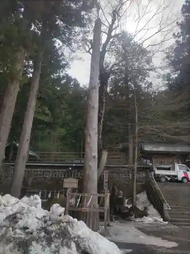 諏訪大社(長野県)