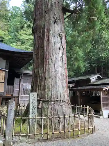 日枝神社のその他建物