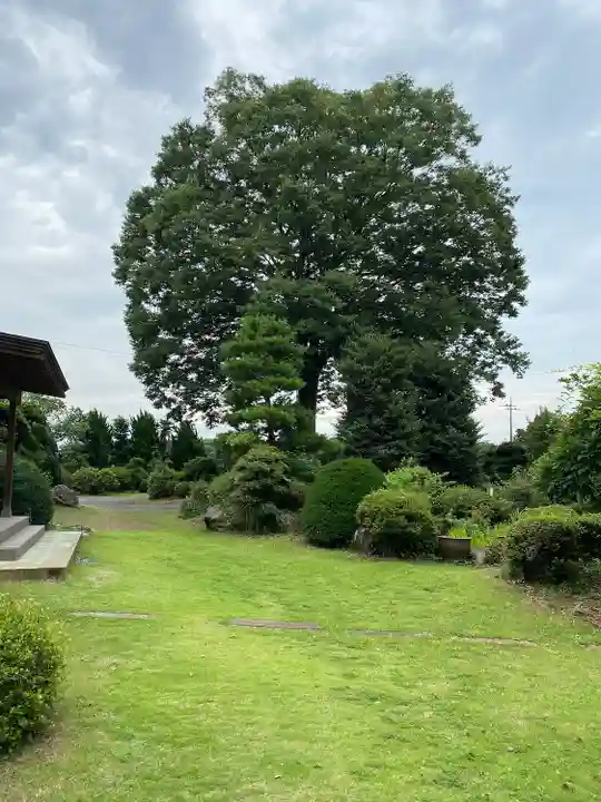 東蕗田天満社(茨城県)