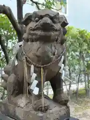 堀越神社(大阪府)