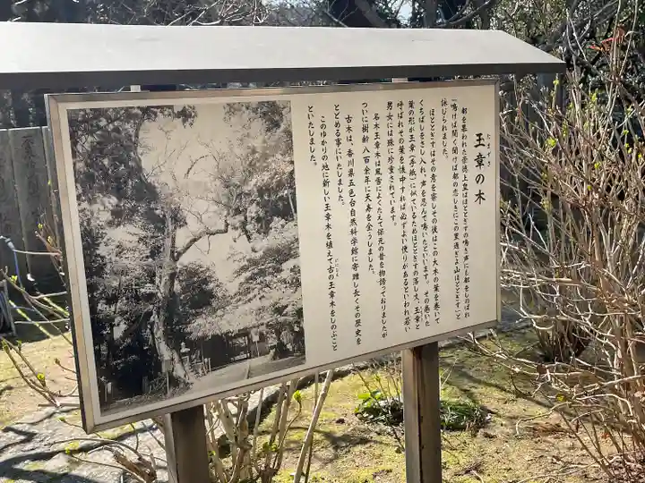 白峯寺(香川県)