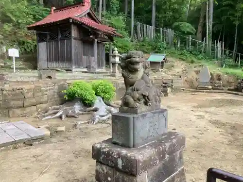 大船熊野神社の狛犬