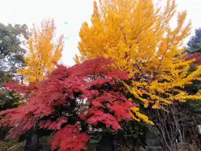 高幡不動尊　金剛寺(東京都)