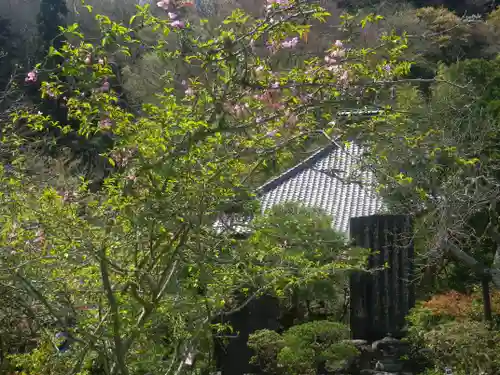 光則寺のその他建物