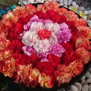 三輪神社の手水舎(2021年05月09日(日) 07時38分20秒投稿)