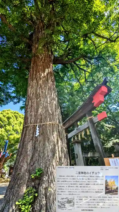 下総国三山 二宮神社の自然