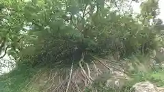 天御中主神社の庭園