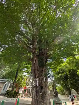 鳩森八幡神社(東京都)