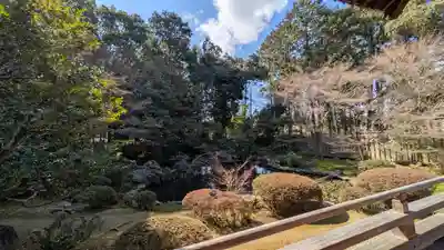 隨心院（随心院）(京都府)