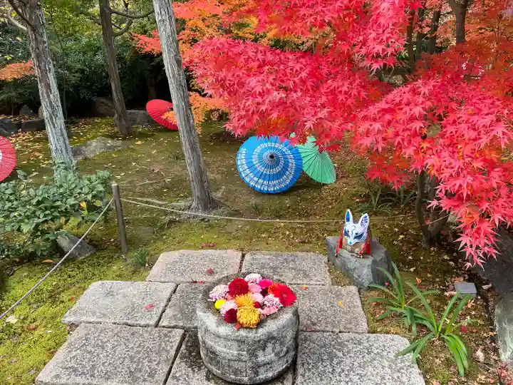勝林寺(京都府)