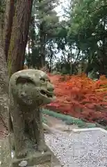 間々田八幡宮の狛犬