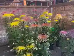 亀戸天神社の庭園