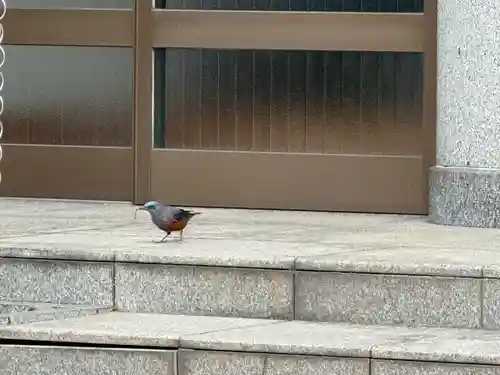 西方山極楽寺(岐阜県)