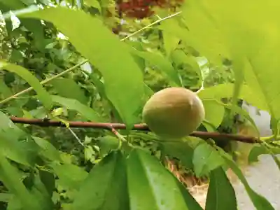冠稲荷神社(群馬県)