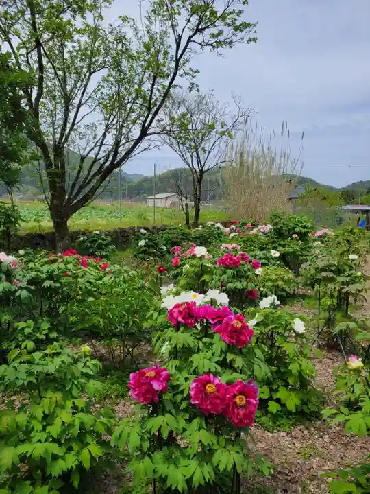 隆国寺(兵庫県)