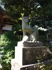 産千代稲荷神社の狛犬