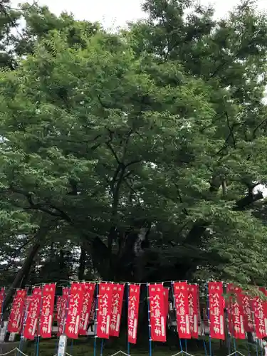 秩父今宮神社の自然