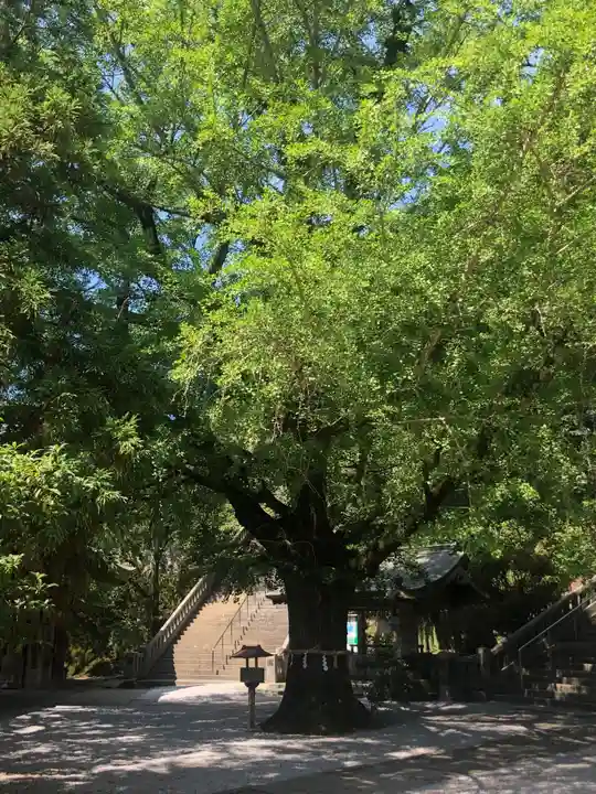 和霊神社(愛媛県)