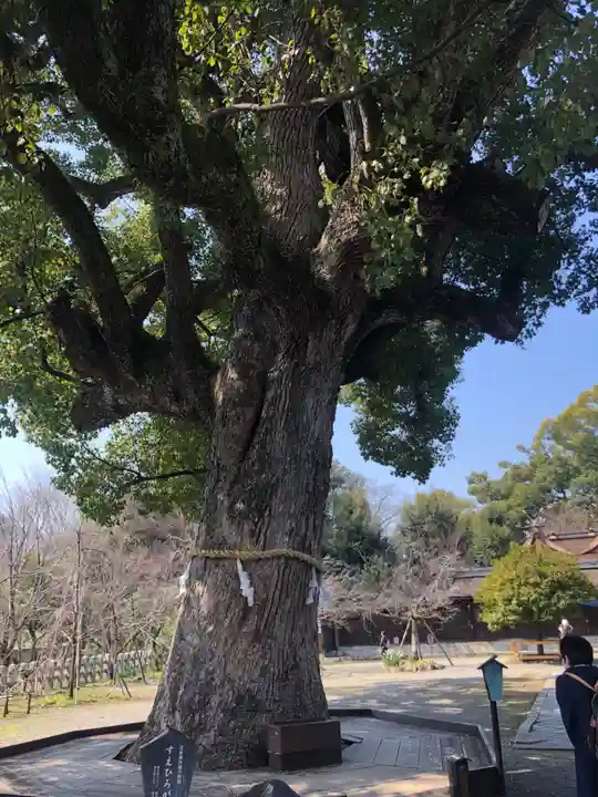 平野神社(京都府)