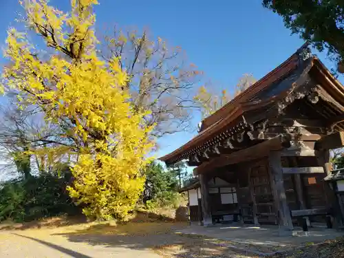 勝興寺の本殿