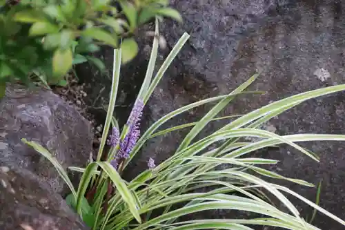 開成山大神宮の周辺