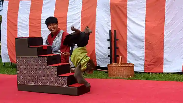 上川神社頓宮の動物