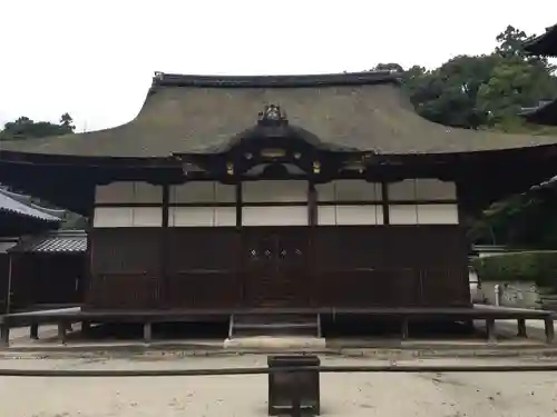 園城寺（三井寺）の建物その他