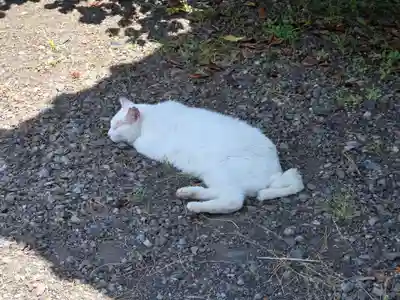 水天宮(静岡県)